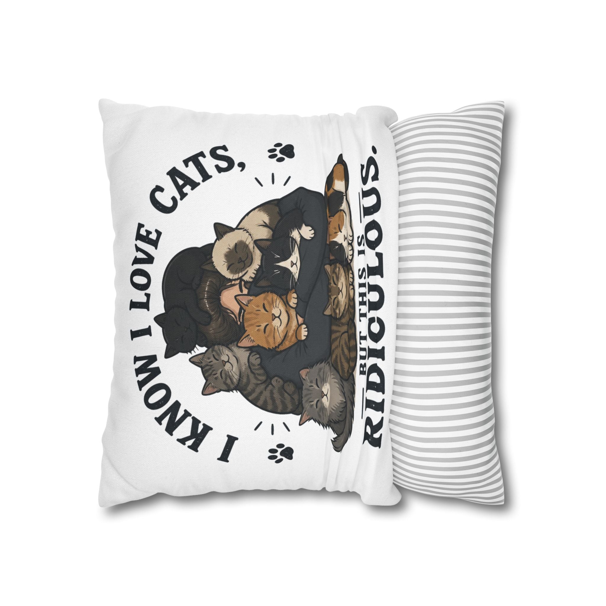 Decorative Pillow — "I Know I Love Cats, But This Is Ridiculous" Cat Lover Throw Pillowcase