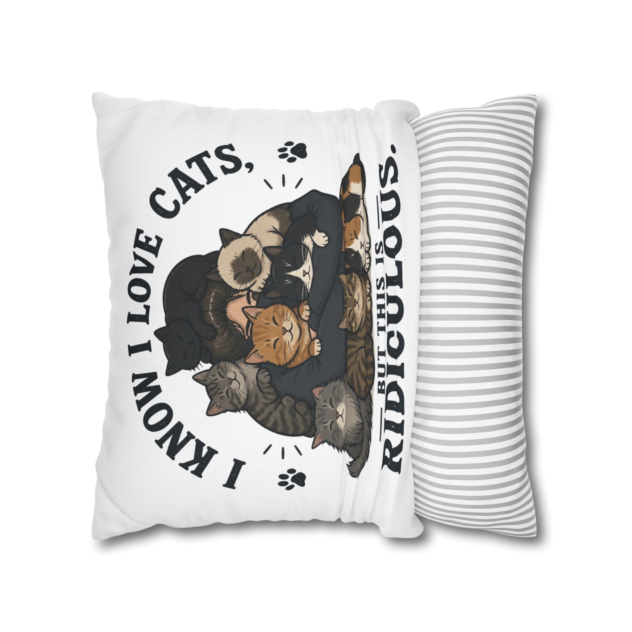 Decorative Pillow — "I Know I Love Cats, But This Is Ridiculous" Cat Lover Throw Pillowcase