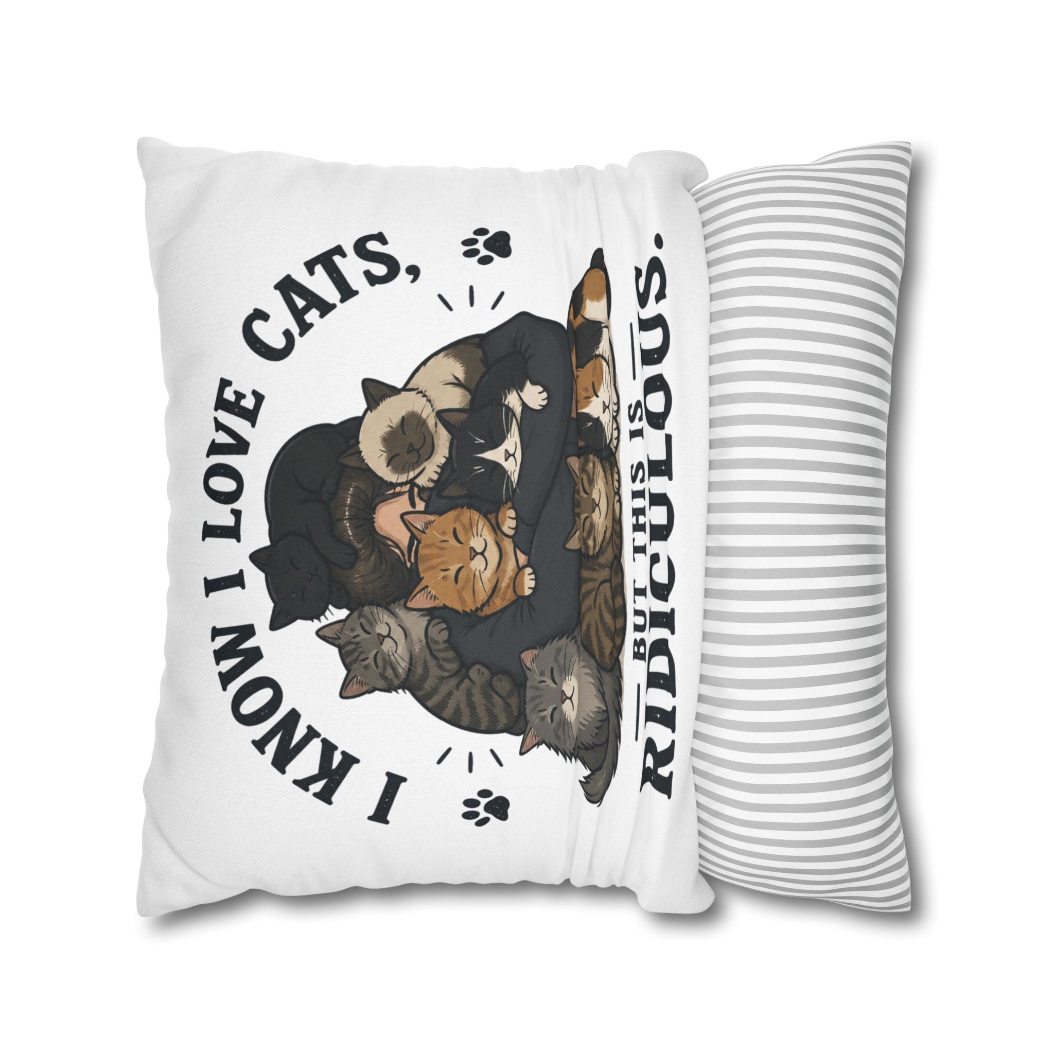 Decorative Pillow — "I Know I Love Cats, But This Is Ridiculous" Cat Lover Throw Pillowcase
