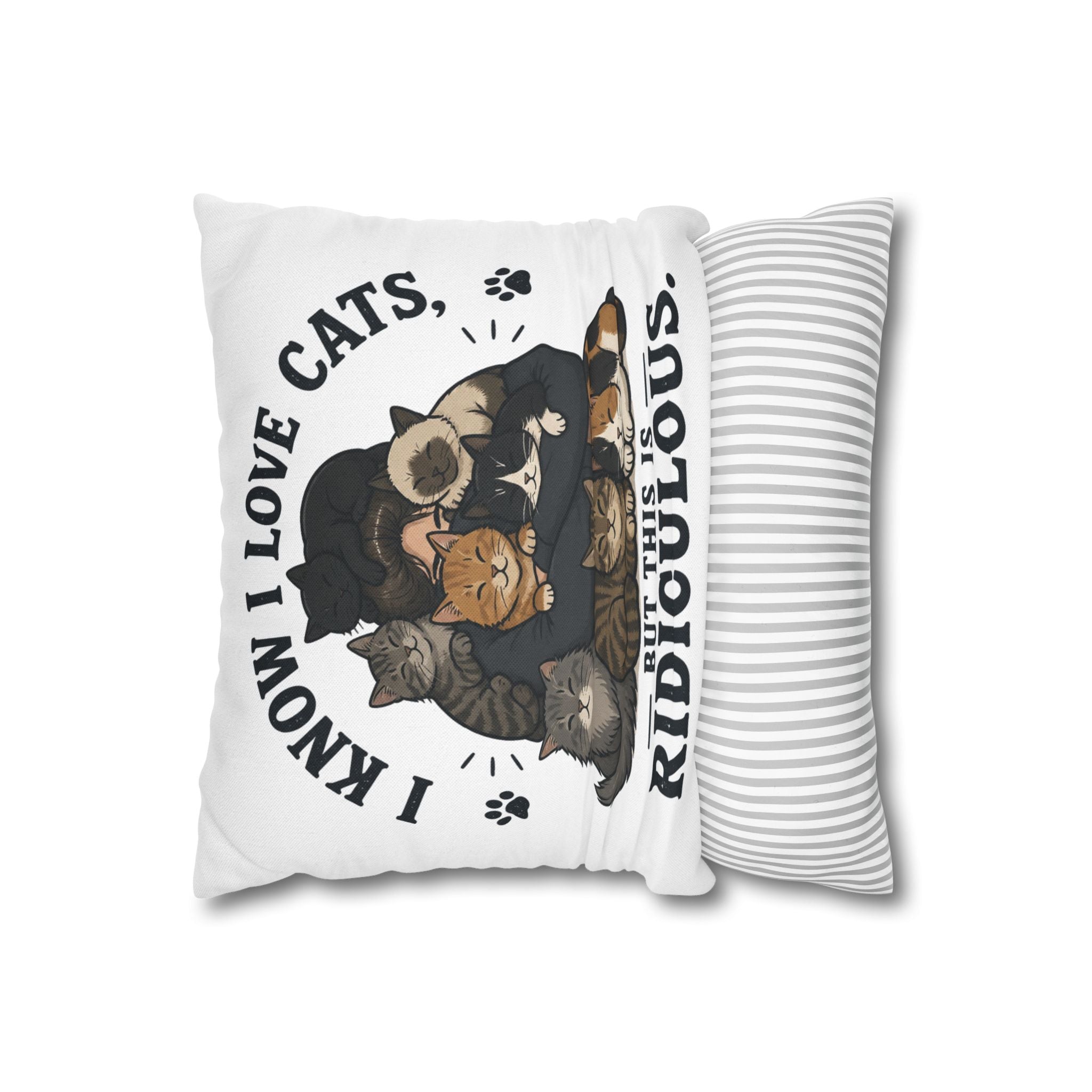 Decorative Pillow — "I Know I Love Cats, But This Is Ridiculous" Cat Lover Throw Pillowcase